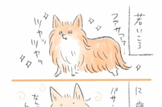 おまけ2 표지