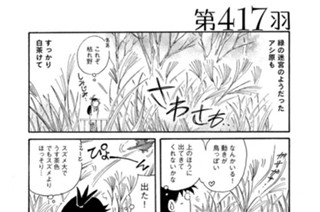 第４１７羽 표지