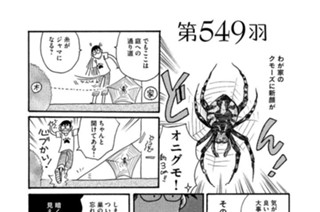 第５４９羽 표지