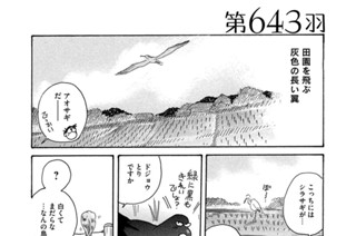 第６４３羽 표지