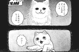 第４話 迷い猫の帰り道 표지