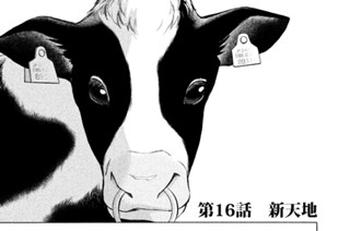第１６話 新天地 표지