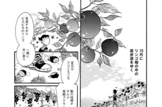 第５５９羽 표지