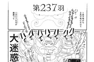 第２３７羽 표지