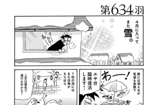 第６３４羽 표지