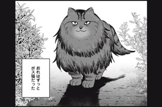 第４６話 強欲なボス猫 표지