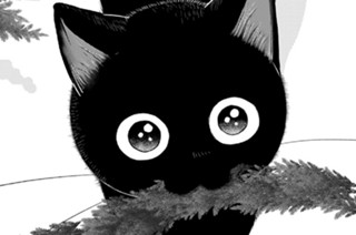ライフ５ 触れてほしくないこと（１） 표지