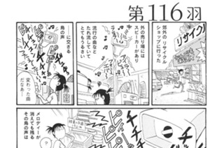 第１１６羽 표지