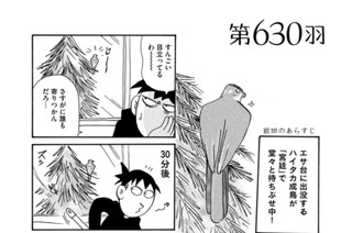 第６３０羽 표지