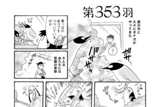 第３５３羽 표지