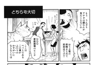 プ〜ねこ（４８） 표지