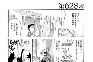 第６２８羽 표지