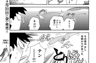 第７７３羽 표지