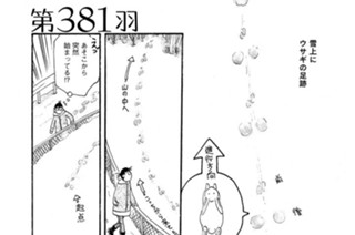第３８１羽 표지