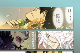 第９話 多華宮君とエヴァーミリオンの火 표지