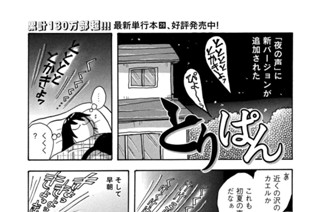 第８３３羽 표지