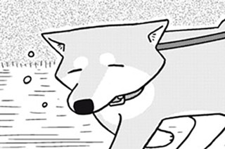 38화 ３８ｔｈ Ｂａｒｋｉｎｇ：Ｒａｄｉｏ ｅｘｅｒｃｉｓｅｓ！ 표지
