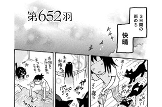 第６５２羽 표지