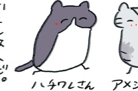 第７４話 突破口になる人 표지