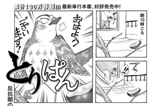 第８１６羽 표지