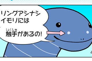 おまけ２４ リングアシナシイモリ 표지