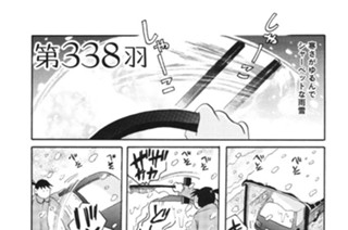 第３３８羽 표지