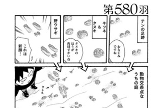 第５８０羽 표지