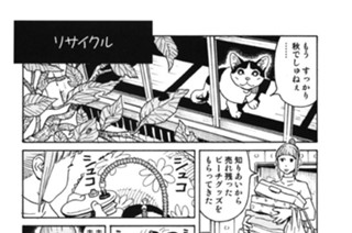 プ〜ねこ（１０） 표지