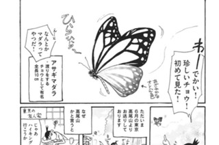 第２０５羽 표지