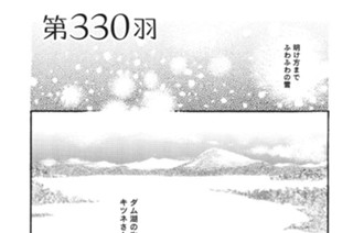 第３３０羽 표지