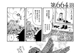 第６６４羽 표지