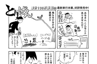 第８１７羽 표지