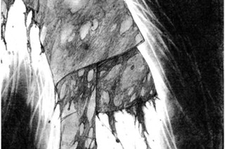 第三十八幕 群〈群れ・其の二〉 표지