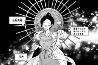 29화 ２９冊目 図解 仏像の鑑賞 표지