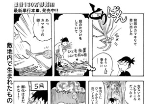 第８９２羽 표지