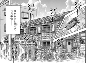 第２９５話 傍観 표지