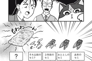 第１３話 猫とタオル 표지