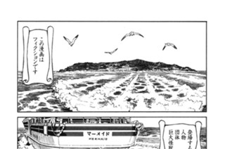 プ〜ねこ（４６） 표지