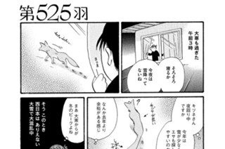 第５２５羽 표지