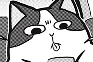 第３７話 猫と雨 표지