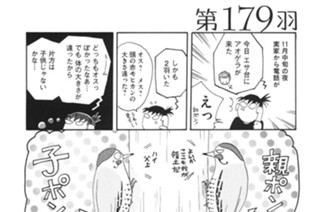 第１７９羽 표지