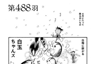 第４８８羽 표지