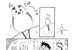 第３７４羽 표지