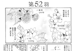 第５２羽 표지