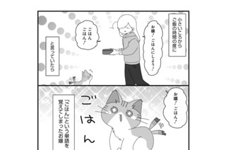 第11話 표지