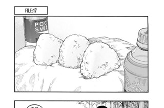 ＦＩＬＥ：１７ ダブルチーム 표지