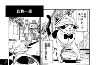プ〜ねこ（１２７） 自称一家 표지