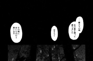 綿胞子 표지