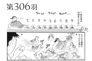 第３０６羽 표지