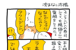 第４８話 沈まない太陽 표지